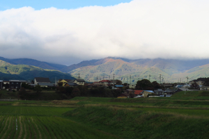 070_241030083 X900 長円寺 参道を背に G7X.jpg