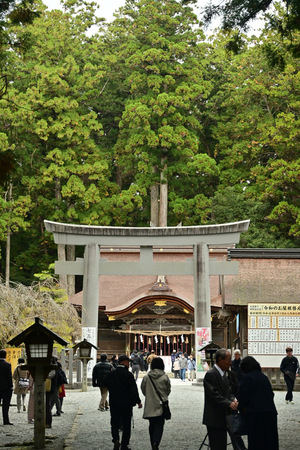 007_241126089 X900 小国神社 Z50 Z18-140.jpg