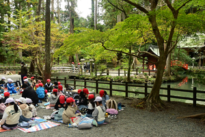 006_241126088 X900 小国神社 Z50 Z18-140.jpg