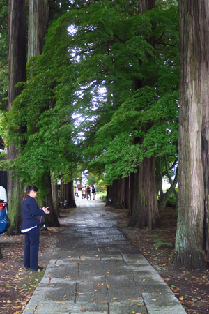 055_241030082 X900 長円寺 参道 G7X.jpg