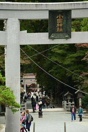 004_241126169 X900 小国神社 一の鳥居Z50 Z18-140.jpg