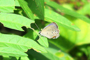 002_241004044 X900 〇峰岡公園 G7X.jpg