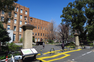 001_250321001  X900 幸門 日比谷公園 G7X.jpg