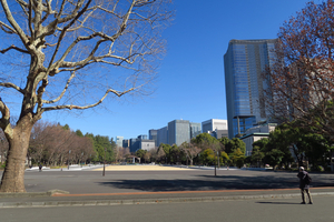 001_250221008 X900 〇日比谷公園 G7X.jpg