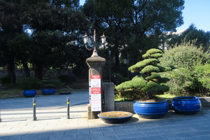 011_250221083 X900 有楽門 日比谷公園 G7X.jpg