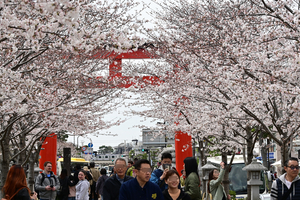 015_250405218 X900 ◎鶴岡八幡宮 Z50 Z18-140.jpg