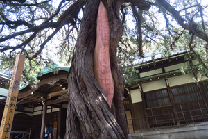 030_250405091 X900 〇円覚寺 G7X.jpg