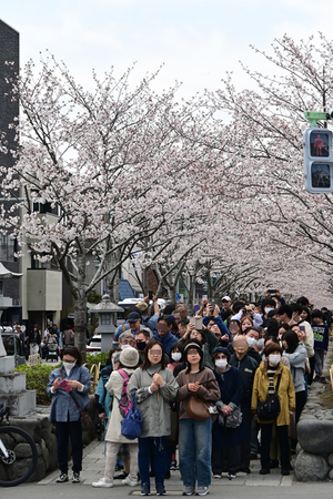 014_250405201 X900 ◎鶴岡八幡宮 Z50 Z18-140.jpg