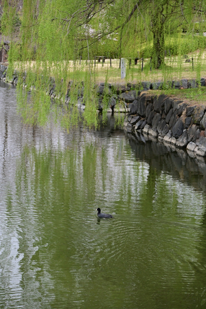 050_250404279 X900 〇古河総合公園 Z50 Z18-140.jpg