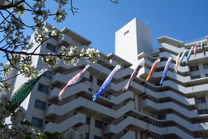 018_250404111 X900 ◎帷子川 G7X.jpg