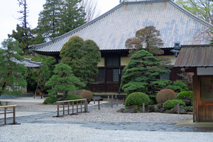 007_250402019 X900 川越 町並み 路地突き当り 養寿院  G7X.jpg