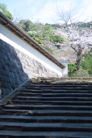 024_250405073 X900 〇円覚寺 G7X.jpg