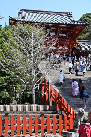 011_250405190 X900 ◎鶴岡八幡宮 Z50 Z18-140.jpg