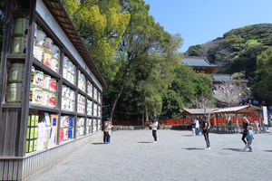 013_250405036 X900 〇鶴岡八幡宮 G7X.jpg