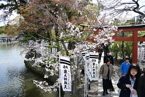 009_250405174 X900 〇鶴岡八幡宮 旗上弁財天 Z50 Z18-140.jpg