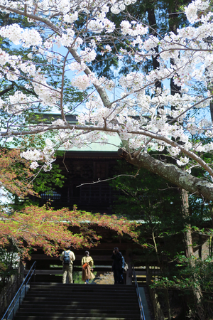 023_250405071 X900 〇円覚寺 G7X.jpg