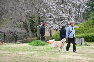 041_250404228 X900 ◎古河総合公園 Z50 Z18-140.jpg