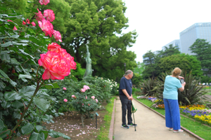 016_250516053 X900 5月の日比谷公園 G7X.jpg