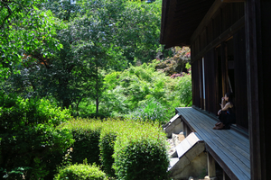 041_250528169 X900 喜多院 客殿から庭を見る G7X.jpg