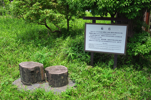 015_250520014 X900 日比谷公園 G7X.jpg