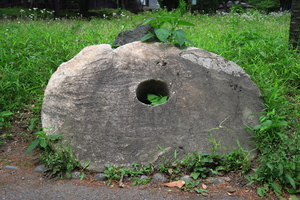 006_250516018 X900 5月の日比谷公園 石貨 G7X.jpg