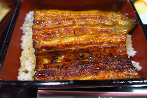 031_250528125 X900 鰻 小川菊 G7X.jpg