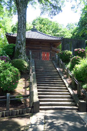 042_250528173 X900 喜多院 本堂 G7X.jpg