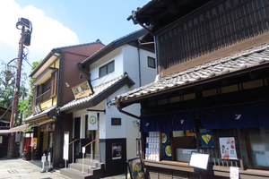 003_250528014 X900 川越菓子屋横丁 G7X.jpg