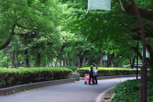 017_250516057 X900 5月の日比谷公園 G7X.jpg