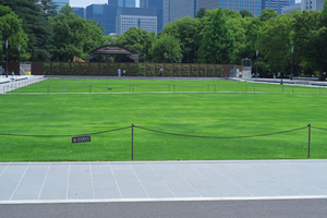 004_250520004 X900 日比谷公園 もっこく G7X.jpg