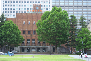 004_250516008 X900 5月の日比谷公園 G7X.jpg