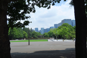003_250520003 X900 日比谷公園 もっこく G7X.jpg