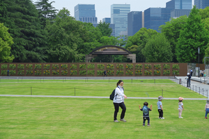 001_250516001 X900 5月の日比谷公園 G7X.jpg