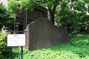 002_250520003 X900 日比谷公園 もっこく G7X.jpg