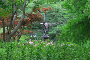 018_250516062 X900 〇5月の日比谷公園 アジサイ G7X.jpg