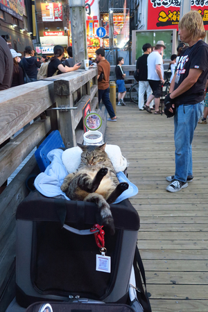 036_250621088 X900 道頓堀 G7X.jpg