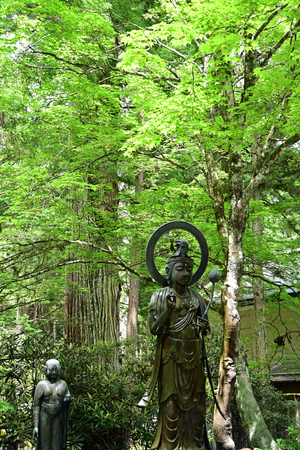 064_250622757 X900 高野山 Z50 Z18-140.jpg