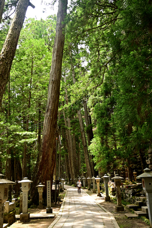 055_250622707 X900 高野山 壮兵衛建立 Z50 Z18-140.jpg