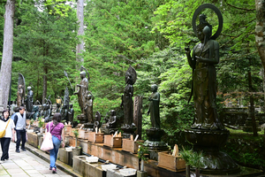 063_250622752 X900 高野山 奥の院へ Z50 Z18-140.jpg