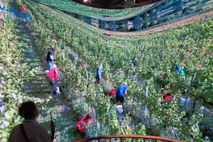 110_250623334 X900 〇万博 コモン館 スロバキア G7X.jpg