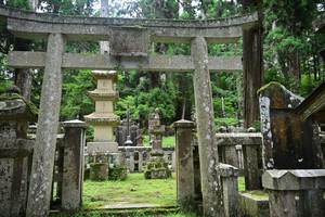 058_250622733 X900 高野山 Z50 Z18-140.jpg