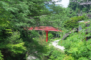 049_250622164 X900 極楽橋 G7X.jpg