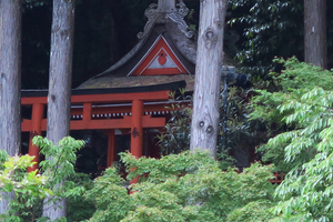 071_250622191 X900 恵行院 G7X.jpg