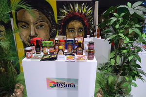 106_250623320 X900 〇万博 コモン館 G7X.jpg