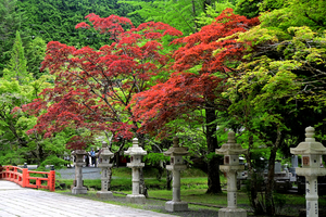 067_250622763 X900 高野山 Z50 Z18-140.jpg