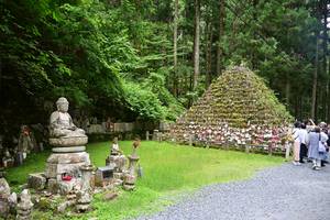 065_250622759 X900 高野山 Z50 Z18-140.jpg