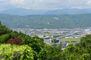 059_250818421 X900 高知県立牧野植物園 D50.jpg