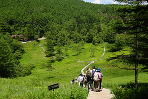 006_250713062 X900 入笠湿原 RX10M4.jpg