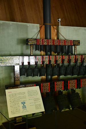 061_250818442 X900 高知県立牧野植物園 D50.jpg