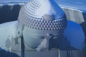 170_250624597 X900 〇安藤忠雄展 プロジェクションマッピング G7X.jpg